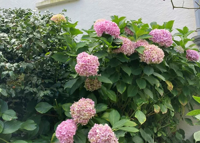 ゲストハウス Manoir De L'esperance Corsept